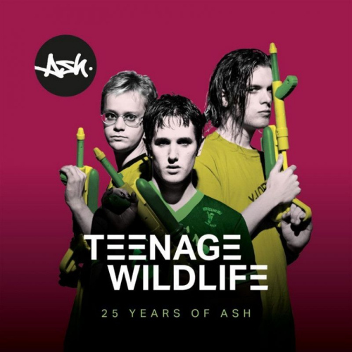 ASH - TEENAGE WILDLIFE: 25 YEARS OF ASHASH - TEENAGE WILDLIFE - 25 YEARS OF ASH.jpg